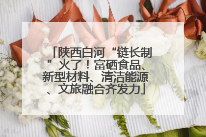陕西白河“链长制”火了！富硒食品、新型材料、清洁能源、文旅融合齐发力