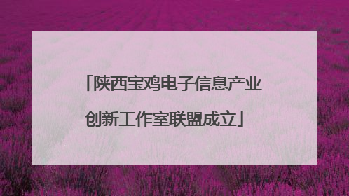 陕西宝鸡电子信息产业创新工作室联盟成立
