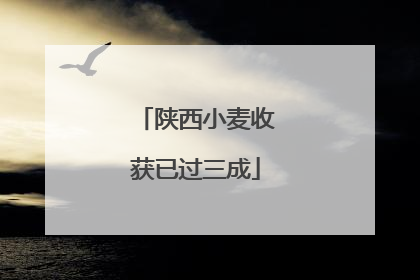 陕西小麦收获已过三成