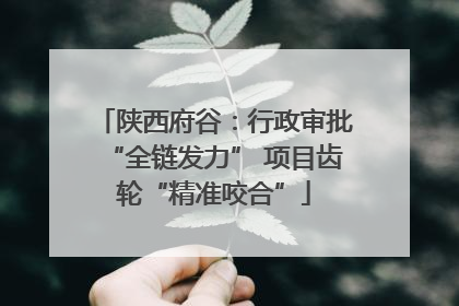 陕西府谷：行政审批“全链发力” 项目齿轮“精准咬合”
