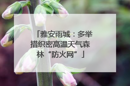 雅安雨城：多举措织密高温天气森林“防火网”