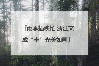 雨季插秧忙 浙江文成“丰”光美如画