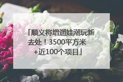 顺义将增遛娃潮玩新去处！3500平方米+近100个项目