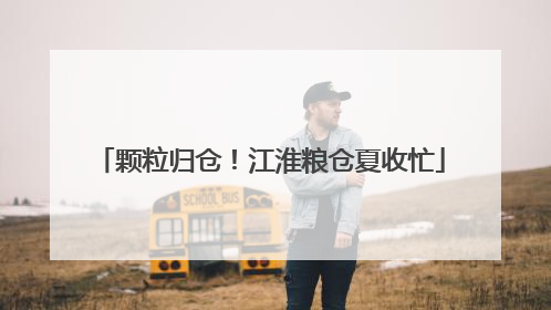 颗粒归仓！江淮粮仓夏收忙