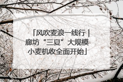 风吹麦浪一线行｜廊坊“三夏”大规模小麦机收全面开始