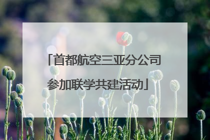 首都航空三亚分公司参加联学共建活动