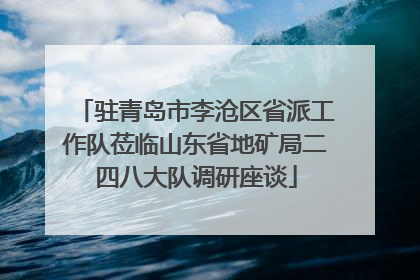 驻青岛市李沧区省派工作队莅临山东省地矿局二四八大队调研座谈
