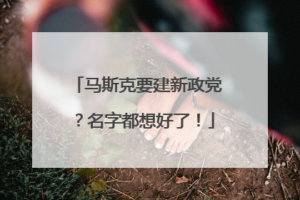 马斯克要建新政党？名字都想好了！