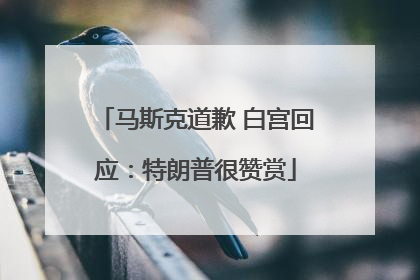 马斯克道歉 白宫回应：特朗普很赞赏