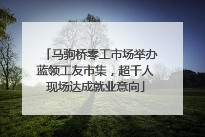 马驹桥零工市场举办蓝领工友市集，超千人现场达成就业意向