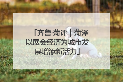 齐鲁·菏评｜菏泽以展会经济为城市发展增添新活力