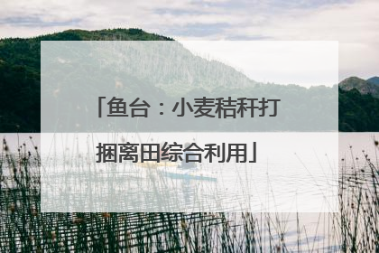 鱼台：小麦秸秆打捆离田综合利用