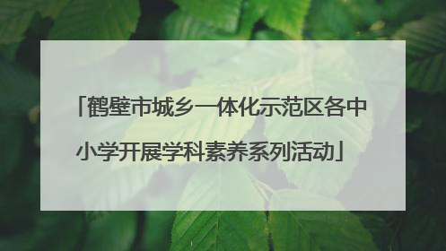 鹤壁市城乡一体化示范区各中小学开展学科素养系列活动