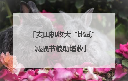 麦田机收大“比武” 减损节粮助增收