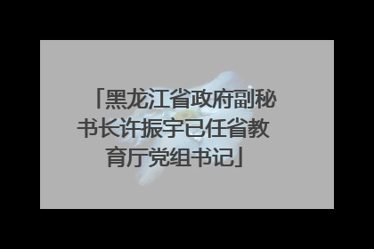 黑龙江省政府副秘书长许振宇已任省教育厅党组书记