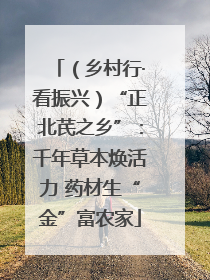 （乡村行·看振兴）“正北芪之乡”：千年草本焕活力 药材生“金”富农家