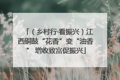 （乡村行·看振兴）江西铜鼓“花香”变“油香” 增收致富促振兴