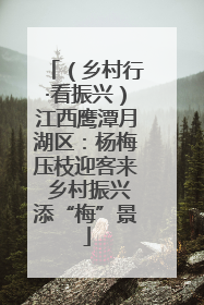 （乡村行·看振兴）江西鹰潭月湖区：杨梅压枝迎客来 乡村振兴添“梅”景
