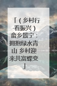 （乡村行·看振兴）畲乡景宁：拥抱绿水青山 乡村迎来共富蝶变