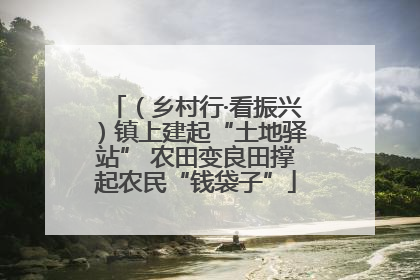 （乡村行·看振兴）镇上建起“土地驿站” 农田变良田撑起农民“钱袋子”