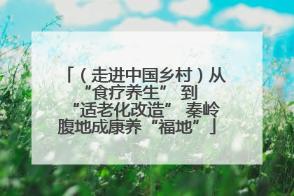 （走进中国乡村）从 “食疗养生” 到 “适老化改造” 秦岭腹地成康养“福地”