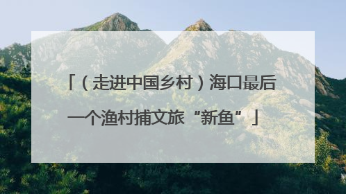 （走进中国乡村）海口最后一个渔村捕文旅“新鱼”