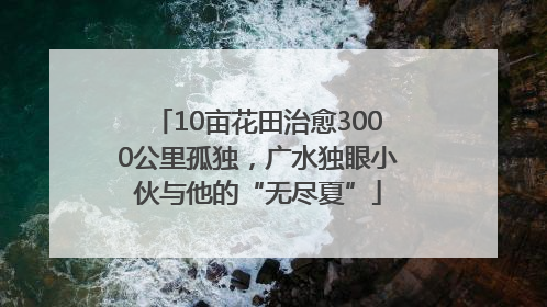 10亩花田治愈3000公里孤独，广水独眼小伙与他的“无尽夏”