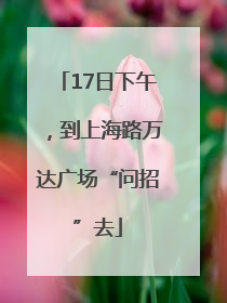 17日下午，到上海路万达广场“问招”去