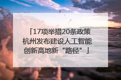 17项举措20条政策 杭州发布建设人工智能创新高地新“路径”