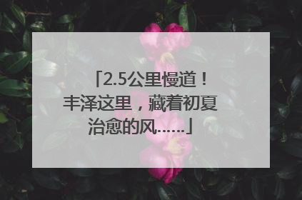 2.5公里慢道！丰泽这里，藏着初夏治愈的风……