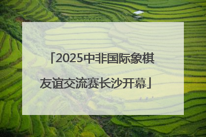 2025中非国际象棋友谊交流赛长沙开幕