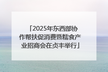 2025年东西部协作帮扶促消费暨糯食产业招商会在贞丰举行