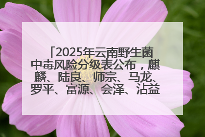 2025年云南野生菌中毒风险分级表公布，麒麟、陆良、师宗、马龙、罗平、富源、会泽、沾益、宣威中风险！