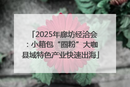 2025年廊坊经洽会：小箱包“圈粉”大咖 县域特色产业快速出海