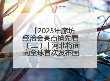 2025年廊坊经洽会亮点抢先看（二）丨河北将面向全球首次发布国际化招商地图