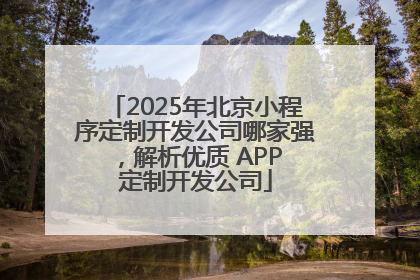 2025年北京小程序定制开发公司哪家强，解析优质 APP 定制开发公司