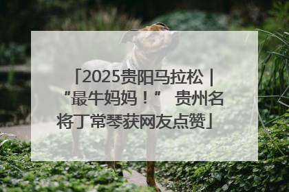2025贵阳马拉松｜“最牛妈妈！” 贵州名将丁常琴获网友点赞