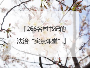 266名村书记的法治“实景课堂”