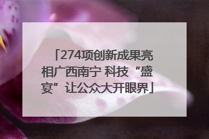274项创新成果亮相广西南宁 科技“盛宴”让公众大开眼界