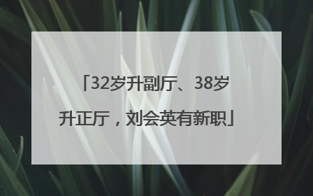 32岁升副厅、38岁升正厅，刘会英有新职