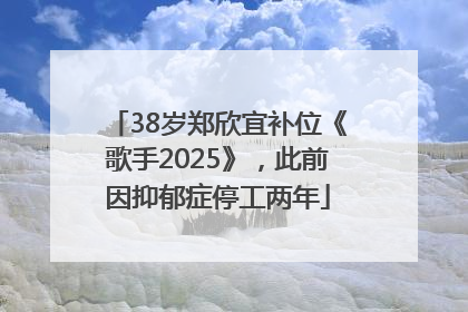 38岁郑欣宜补位《歌手2025》，此前因抑郁症停工两年