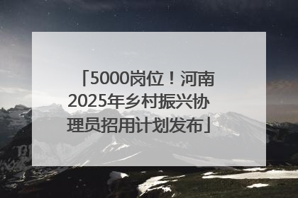5000岗位！河南2025年乡村振兴协理员招用计划发布