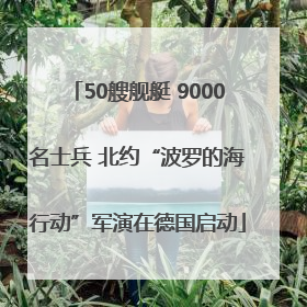 50艘舰艇 9000名士兵 北约“波罗的海行动”军演在德国启动