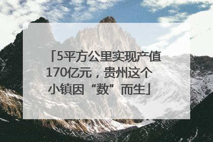 5平方公里实现产值170亿元，贵州这个小镇因“数”而生