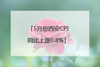 5月份西安CPI同比上涨0.8%
