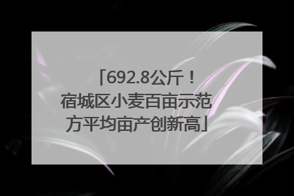 692.8公斤！宿城区小麦百亩示范方平均亩产创新高