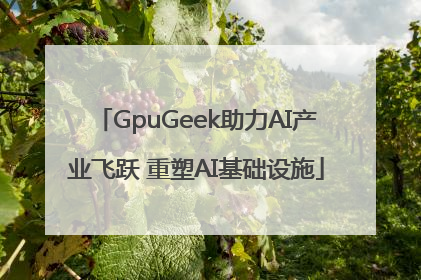 GpuGeek助力AI产业飞跃 重塑AI基础设施